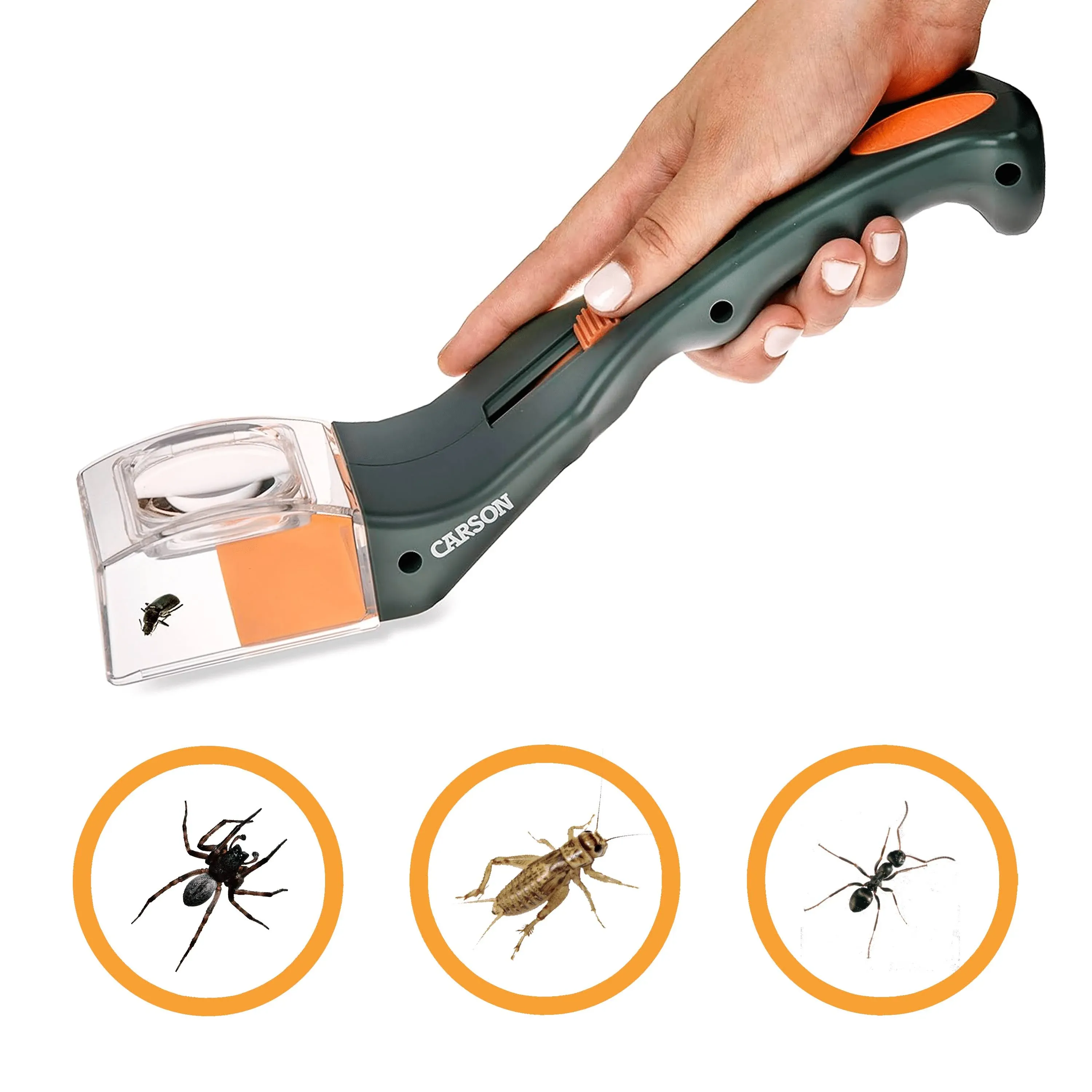 Buy Carson Optical HU-10, BugView One Hand Bug Catcher with 5x Magnifier