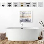 Vanity Art VA6815-S-MB 59" x 30" Freestanding Soaking Acrylic Bathtub Color: White/Matte Black