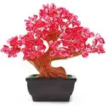 Colorsheng Feng Shui Quartz Crystal Money Tree Bonsai Style (Red)