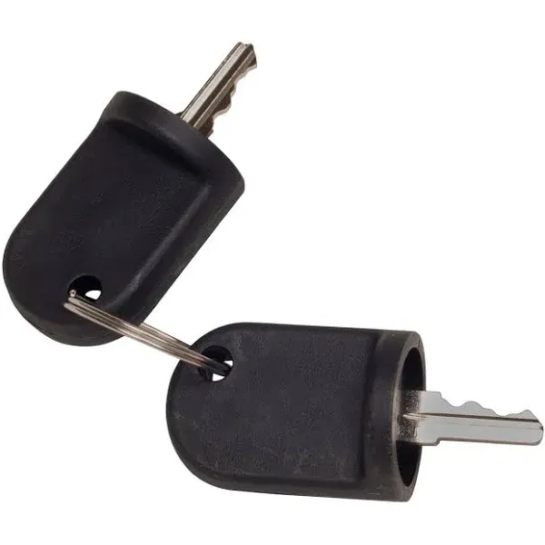 NEW EZGO Golf Cart Keys for RXV Part # 611282 Set of 2 Ignition Key