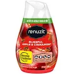 Renuzit Gel Air Freshener, Apple Cinnamon