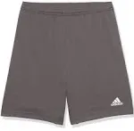 Adidas Entrada 22 Youth Shorts, Team Grey / YS