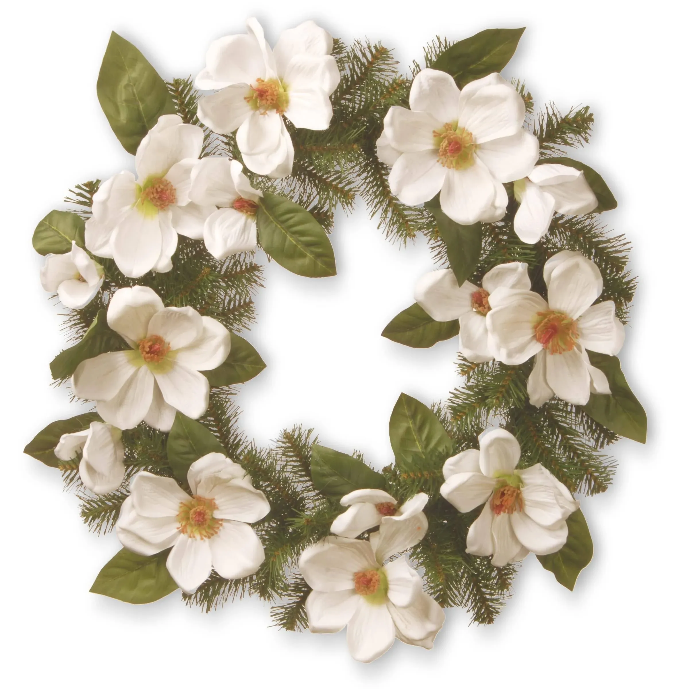 National Tree North Valley Spruce Wreath with Cream Magnolia Flowers (NRV7-13-24W )