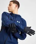 Under Armour Men's Storm Liner