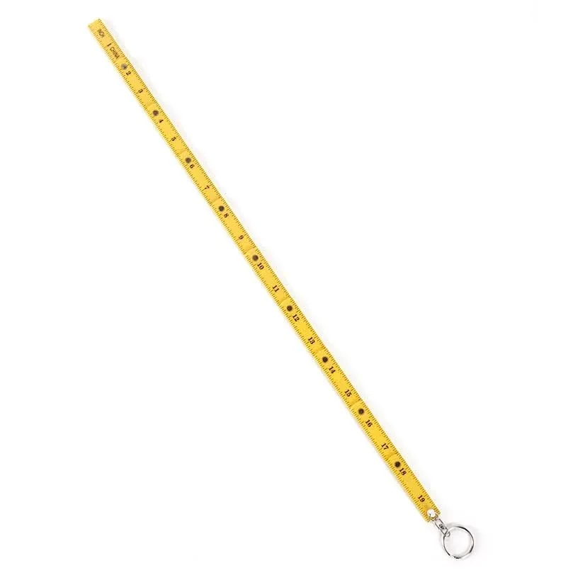 MSR Imports Mini Keychain Ruler Set of 2