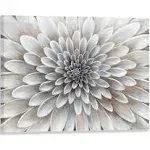 RICHSPACE ARTS Floral Wall Art in Neutral White Color Modern Abstract Canvas ...