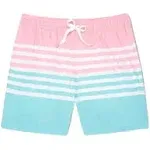 Chubbies Men's The On The Horizons 5.5" Swim Trunk