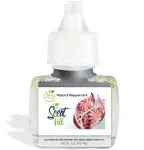 Scent Fill 100% Natural Fresh Peppermint Plug In Refills Air Freshener