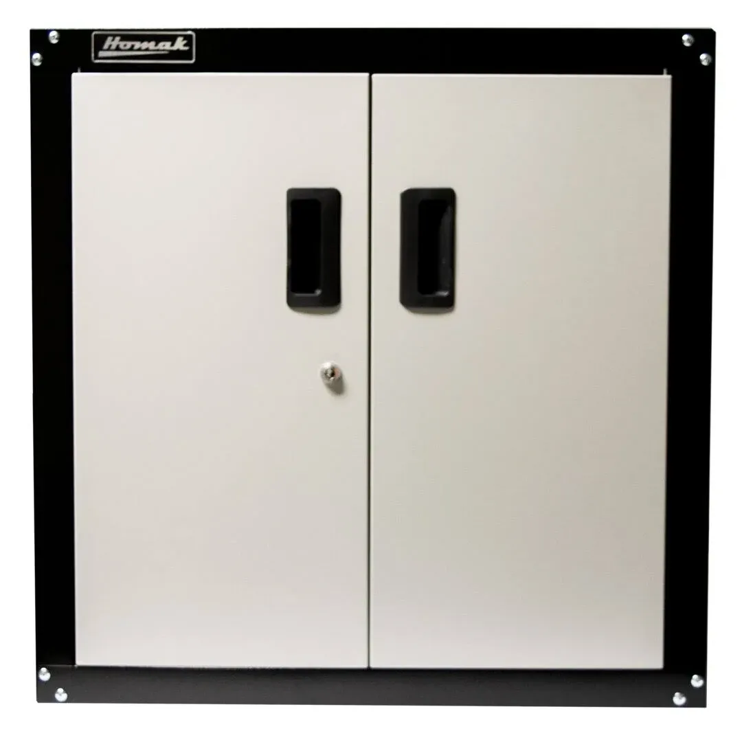 Homak 2 Door Wall Cabinet with 2 Shelves