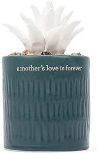 Succulent Oil Diffuser - Mothers Love