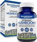 Stonehenge Health Dynamic Mushrooms - 100% Fruiting Bodies & Extracts - Lion’s Mane, Chaga, Maitake, Shiitake, Reishi - Nootropic Brain & Immune