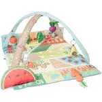 Skip Hop Activity Gym Play Mat, Farmstand Grow & Play