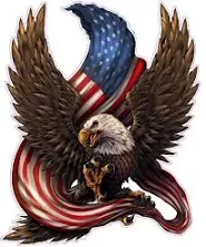 Bald Eagle Worn American Flag Decal