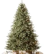 Balsam Hill Prelit Clear String Lights Classic Blue Spruce Artificial Christmas Tree