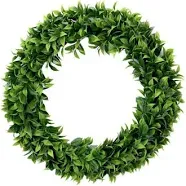 Timeless Tradition 20In. Artificial Bay Leaf Wreath