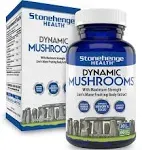 Stonehenge Health Dynamic Mushrooms - 100% Fruiting Bodies & Extracts - Lion’s Mane, Chaga, Maitake, Shiitake, Reishi - Nootropic Brain & Immune