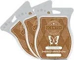 Scentsy, Cinnamon Vanilla, Wickless Candle Tart Warmer Wax 3.2 oz Bar, 3-Pack (3)