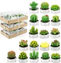 18 Pack Cactus Tealight Candles - Handmade Delicate Succulent Mini Plants Can...