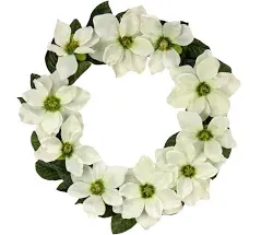 National Tree Company 24" Cream Magnolia Flowers Artificial Wreath