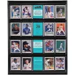 MCS Collector Cards Display Frame - 16 in x 20 in - 20 Cards