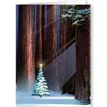 Stonehouse Collection Christmas Tree in The Forest Holiday Card - Winter Holiday Forest