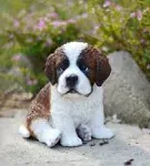 Pet Pals-Saint Bernard Puppy Statue