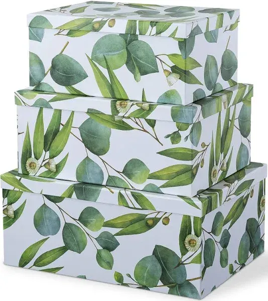 Decorative Cardboard Boxes With Lids For Home Décor - Sprigs Of Green - Set o...