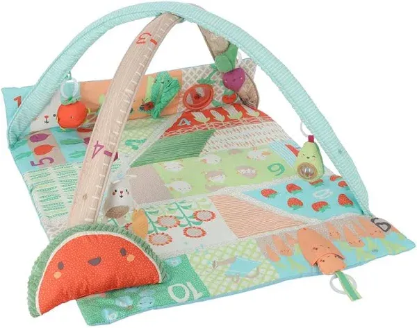 Skip Hop Baby Gym, Farmstand Grow & Play, Green & Farmstand Avocado Baby Stroller Toy