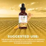 Maryruth's Organic Turmeric Gold Herbal Liquid Drops 1 fl. oz.