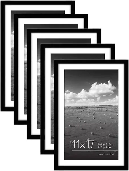  Picture Frame with Polished Plexiglass - Set of 5 - Use as 14x18 18x22 Black