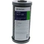 Pentek NCP-BB Carbon Polyester Filter