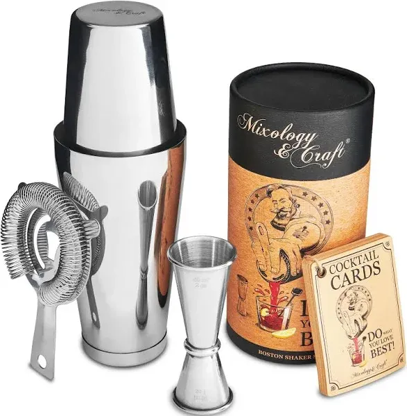 Mixology & Craft Martini Shaker Set