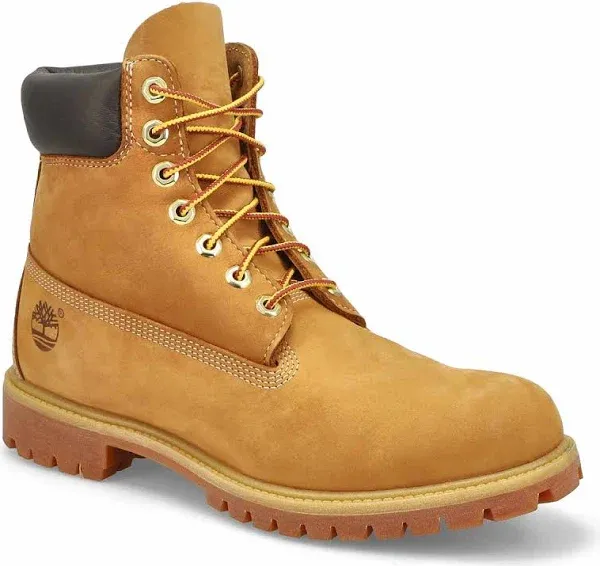 Timberland PREMIUM 6-INCH WATERPROOF BOOTS 13 / Wheat