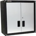 Homak 2 Door Wall Cabinet with 2 Shelves