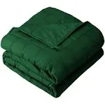 7 lb 40" x 60" Weighted Blanket Cotton Forest Green by Bare Home