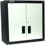 Homak 2 Door Wall Cabinet with 2 Shelves