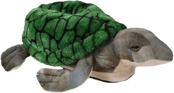 Happy Feet Turtle Slippers