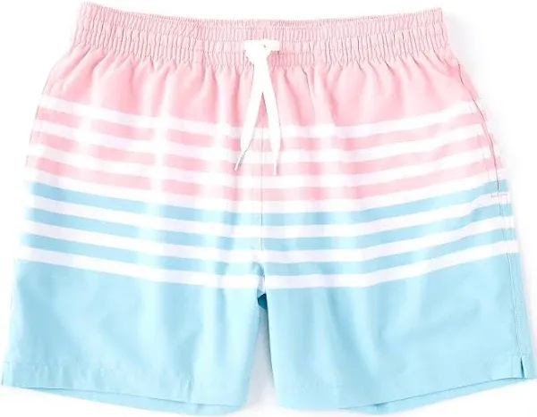 Chubbies Men's Classic 5.5" Swim Trunks