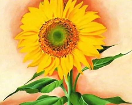 A Sunflower From Maggie, 1937 by Georgia O&#039;Keeffe Sunflower Print 32x28