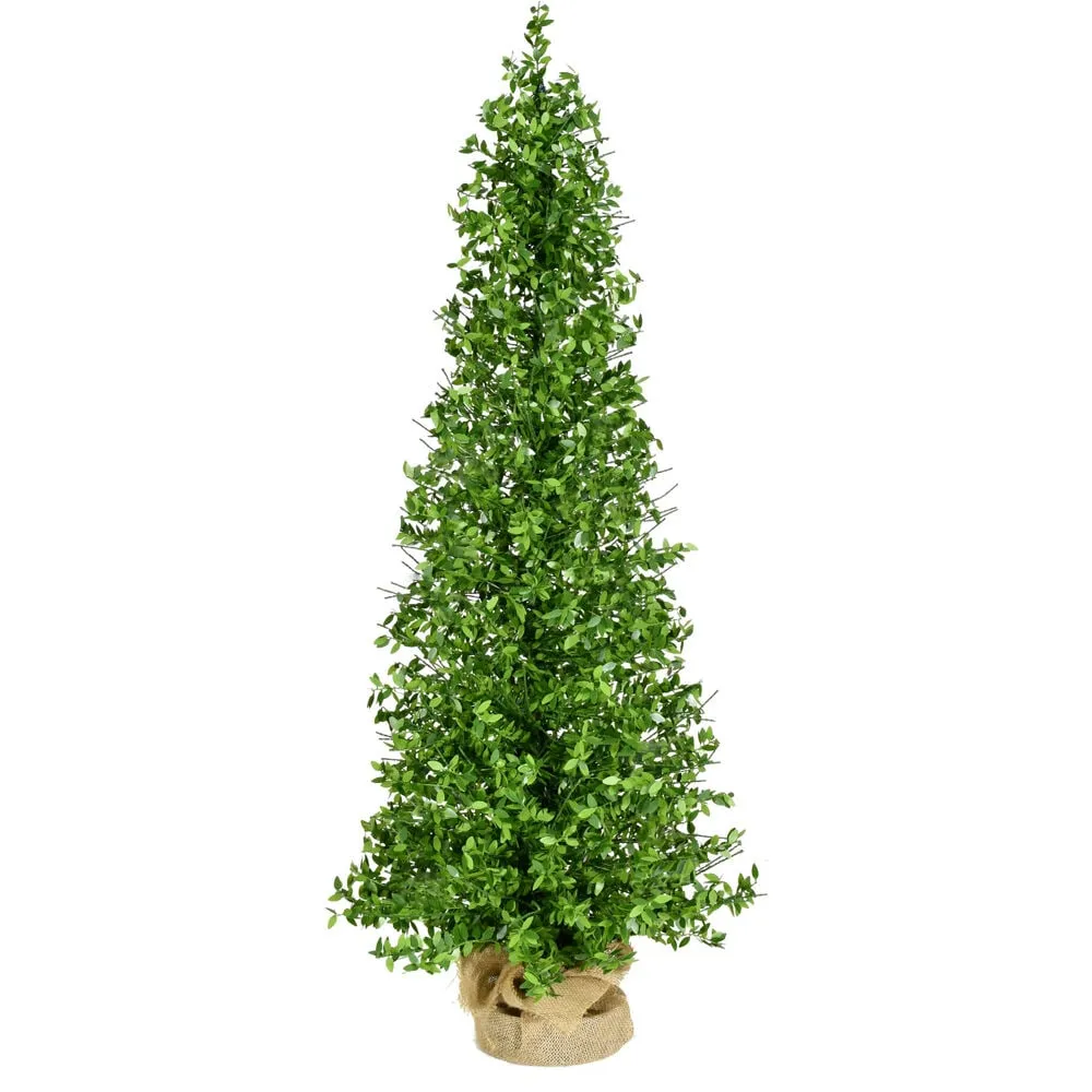 Fraser Hill Farm 3-ft. Boxwood Porch Tree in Burlap Bag