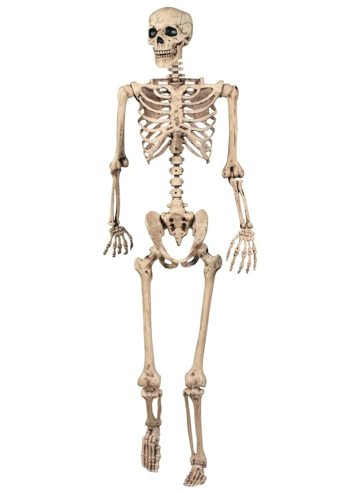 Crazy Bonez Wicked Jack Pose-N-Stay Skeleton