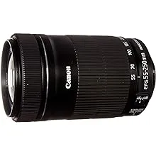 Canon EF-S 55-250mm F4-5.6 is STM Lens for Canon SLR Cameras (Renewed)