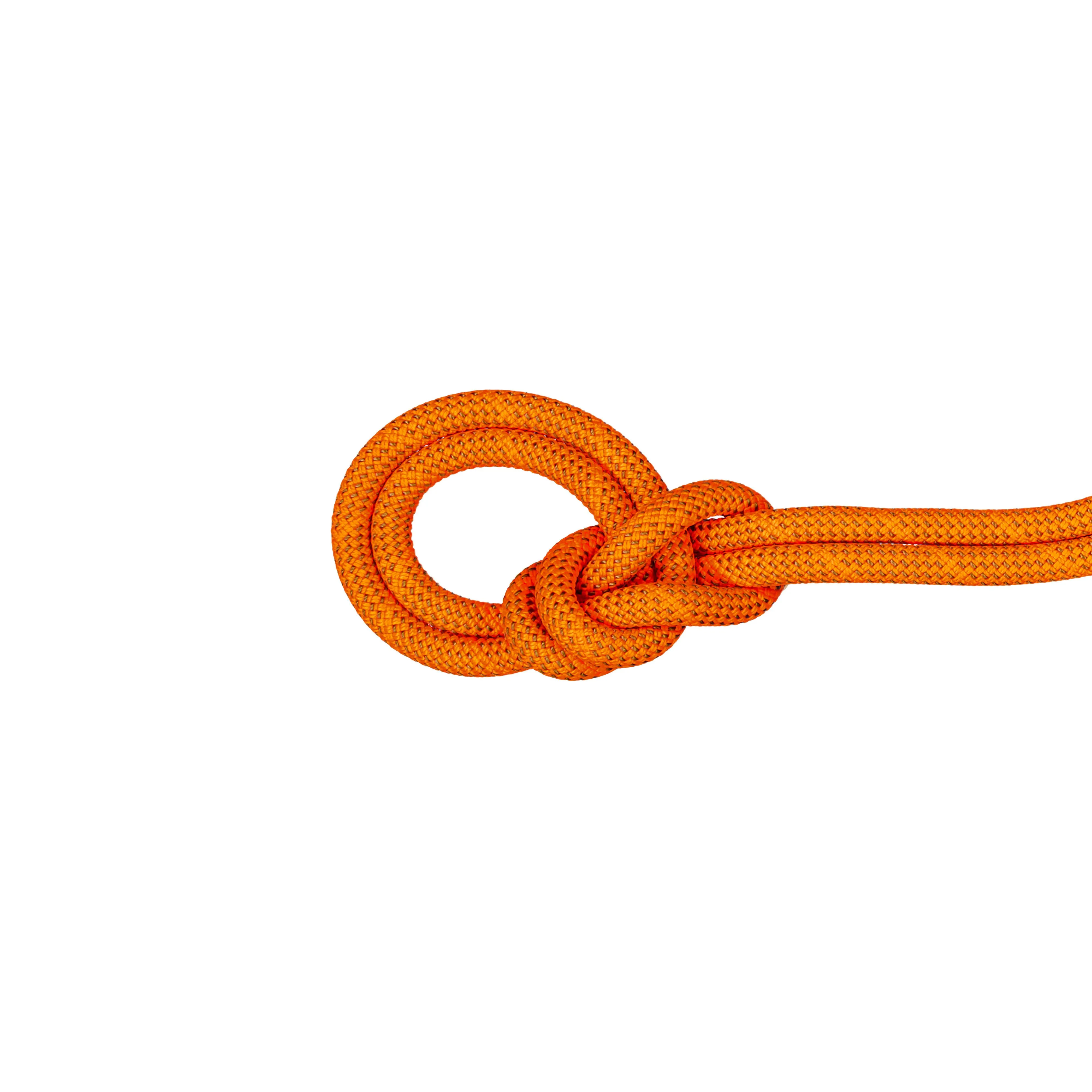 Mammut 9.8 Crag Dry Rope