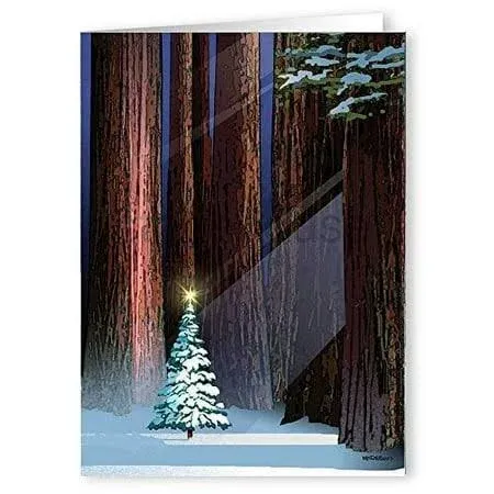 Stonehouse Clooection |Christmas Tree in the Forest Holiday Card | 18 Christmas Cards & Envelopes | USA Made- Winter Holiday Forest (Standard)