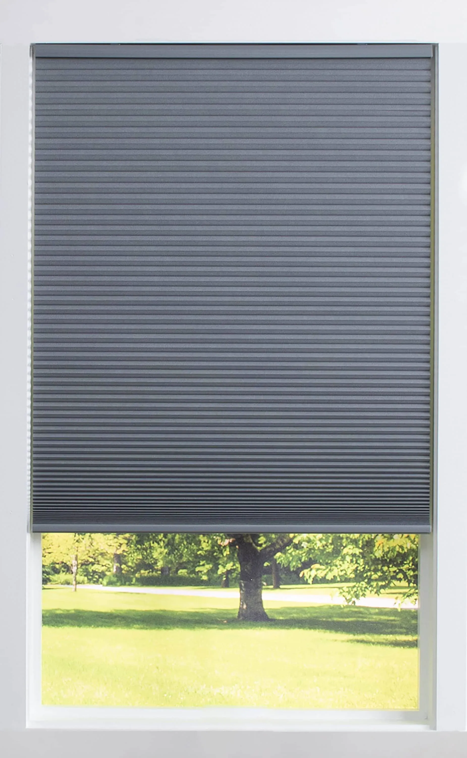 Allen + Roth 36 X 72 Light Filtering Cordless Cellular Shade