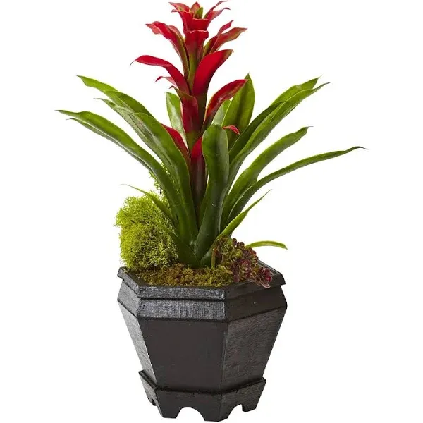 Nearly Natural Bromeliad in Black Hexagon Planter