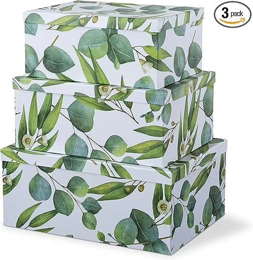 Soul & Lane Decorative Cardboard Boxes With Lids For Home Décor - Sprigs Of Green - Set Of 3: Large Nesting Gift Boxes, Pretty Paperboard Storage Boxes For Organizing, Memory Boxes For Keepsakes