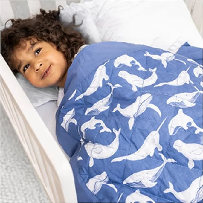 Aden Anais Toddler-Bed Weighted Blanket 2.65 lbs Whale Watching EUC Blue White