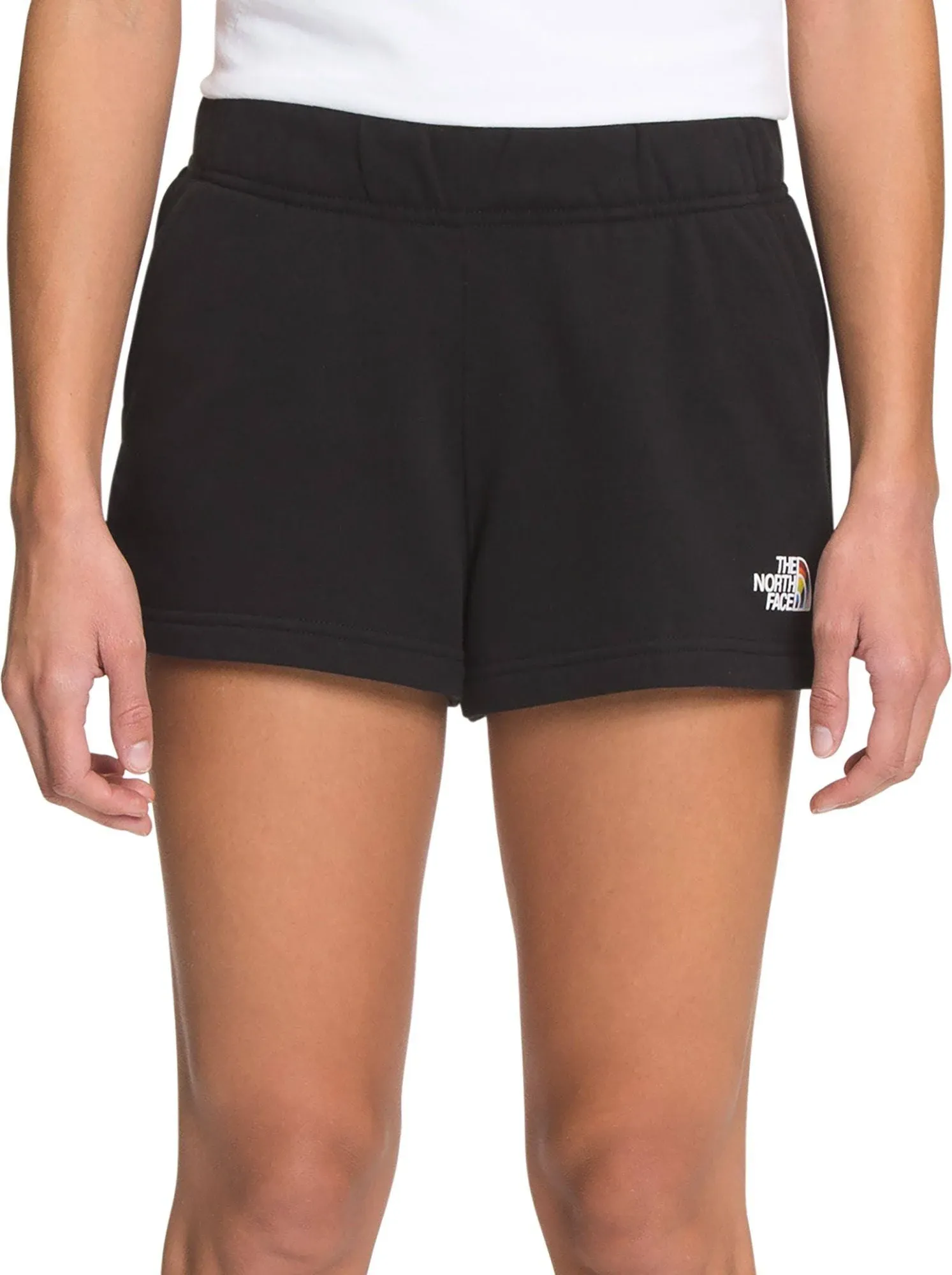 The North Face Women's Half Dome Logo Shorts, XXL, TNF Black/Asphalt Grey