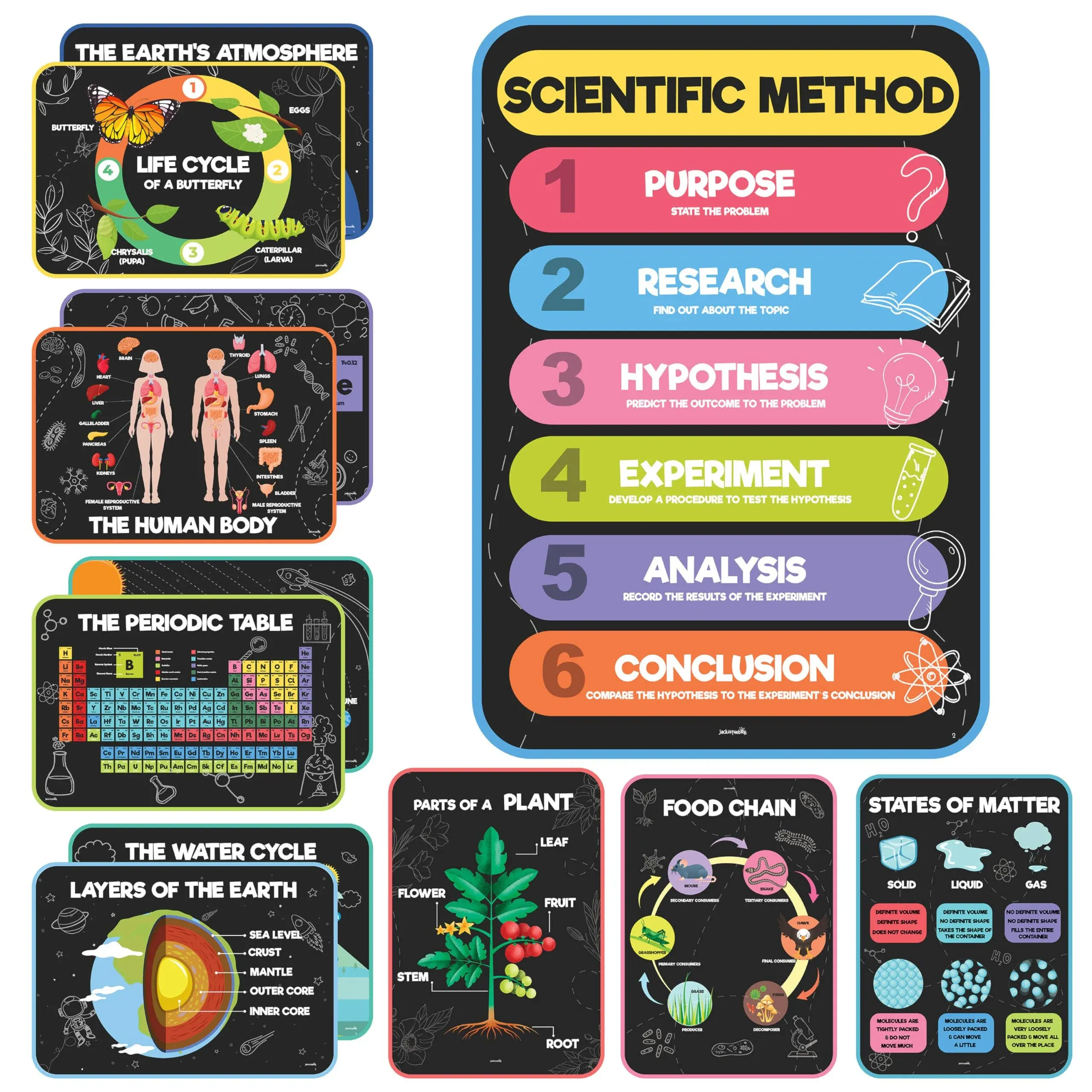 jackinthebox 12 Science Posters for Classroom - 12 x 17 inches Laminated, Middle School Science Posters, Posters for High School, Science Classroom Decor, Science Bulletin Board Sets for Kids